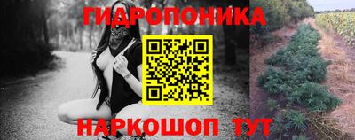 скорость Кинель